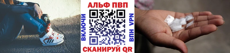 А ПВП крисы CK  Сунжа 