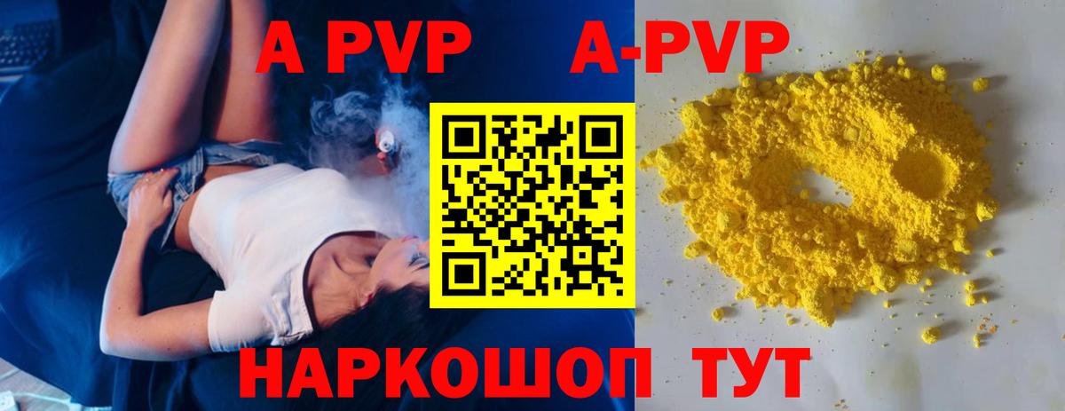 Альфа ПВП СК Сунжа
