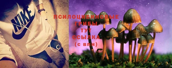 тгк Магас