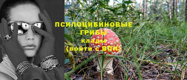 mix Лабытнанги