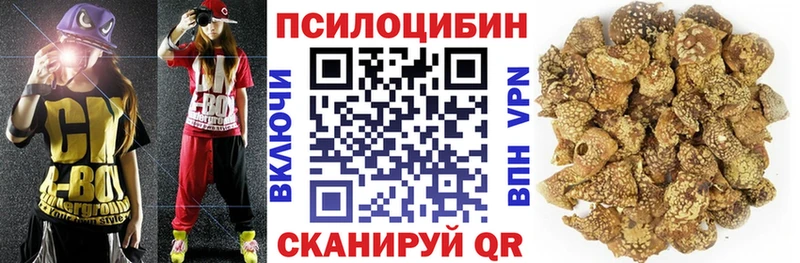 Галлюциногенные грибы Cubensis  маркетплейс какой сайт  Сунжа  что такое наркотик 