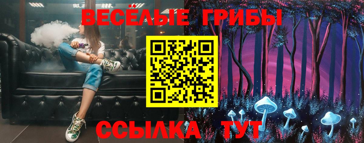 Псилоцибиновые грибы мицелий  где найти   Сунжа 