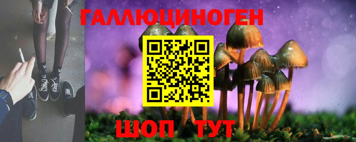 Галлюциногенные грибы MAGIC MUSHROOMS Сунжа