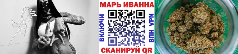 Конопля планчик  Сунжа 